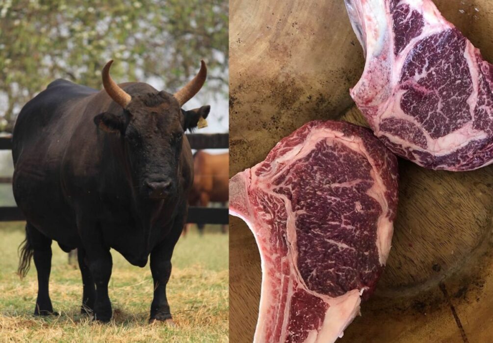carne brasiliana
