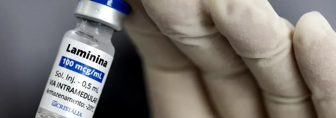 Polilaminina