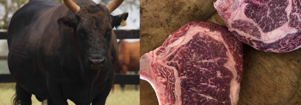 carne brasiliana